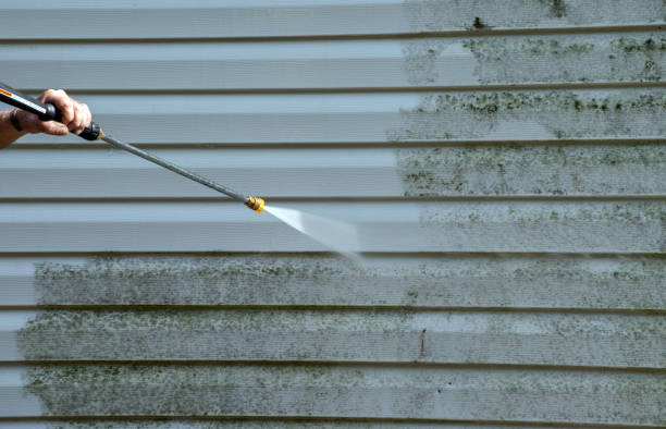 Best Pressure Washing Company Near Me  in Bellville, OH